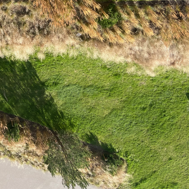 Højt græs, græstørv, biodiversitet